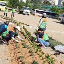 천주교능곡성당 이미지