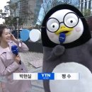 YTN 오늘 날씨에 나타난 펭수 이미지