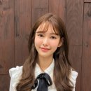 나혜미 카카오 검색결과