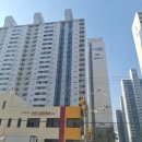 신방한라동백@ 1 이미지