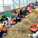 동일1리 이미지