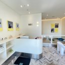 하이반려동물행동클리닉 이미지