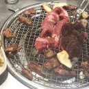경성갈매기