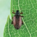 한스행정사사무소 이미지