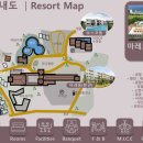 마레보야외수영장 이미지