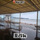 포리뉴 | 충남 태안 신두리 카페 추천 가볼만한 곳 오션뷰 포리뉴 후기