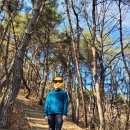 세효각(世孝閣) | 안동시 남선면에 위치한 덤산에 올랐어요