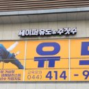 세이퍼 유도&주짓수 이미지