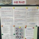 광교복합체육센터 | [수원 수영장 추천] 광교복합체육센터 수영장 주말 일일수입 원정 후기! (복장 규정, 수린이 모임 루틴)