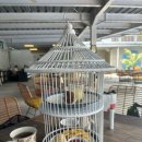 발리 이그조틱 마린파크(Bali Exotic Marine Park)디스커버리와 익스플로어 이용후기 및 꿀팁 (ft...