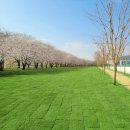 동천 수변공원 이미지