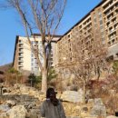 제천오락실 이미지