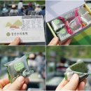 와와정선 2층 투어버스 | 가족과 함께 와와2층버스 타고 떠나는 정선 지질공원버스투어 가성비여행