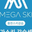 메가스키강습센터 네이버블로그