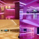 댄스스포츠(기초) 이미지