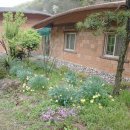 들꽃한의원 이미지