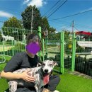 이츠펫 살롱 이미지