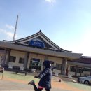 전라도거시기 이미지