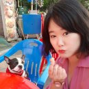 바비큐보스치킨아주점 네이버블로그