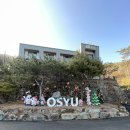 오시유 | [천안] 애견동반 가능한 감성 글램핑 4동 내돈내산 다녀온 후기 :: 오시유