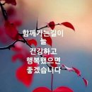 현대커피호프 티스토리