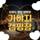 D-2 | [강원도평창] 가야지캠핑장 D구역 내돈내산 2박 솔직 후기(D21, 명당추천)