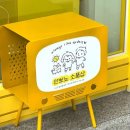 강릉 교동사거리 안뽀뇨 소품샵 - 유기동물 후원하는 노랑노랑 공간
