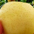 이배농장 이미지