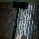 대포동호스텔 이미지