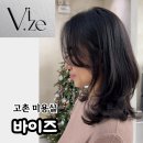Vi.ze(바이즈)