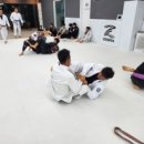 몬스터 합기도 주짓수 이미지