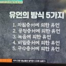 어쩌다어른 변호사 유언의 방식 5가지1 이미지