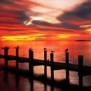 석양풍경 이미지