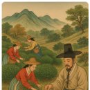 녹차향기 | 강진 녹차 – 남도의 푸른 잎에 깃든 천년의 향기