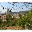 송현별장 이미지