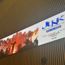 니체시발아 신은죽엇대매 내눈앞에서움직이잔아지금(요네즈켄시 2025 JUNK TOUR 막콘 후기)