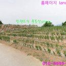 카페507 이미지