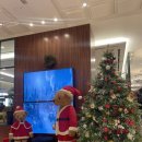 스텔라호텔 | 서울가든호텔 라스텔라 평일 점심 뷔페 이용 후기(가성비 뷔페)