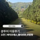 카페콩투어(CAFE KONGTOUR) | 치앙마이 4일차 | 콩투어 당일치기 1편 (싸이프레스·엘리핀팜·반캉왓)