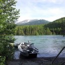 연어의추억 이미지