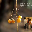 세무법인해청 이미지