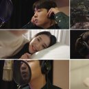 에버그린 이미지