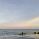 리조트약국 이미지