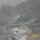 청리초교 Daum카페