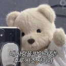 탕탕 탕후루 이미지