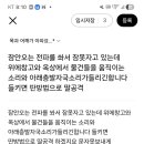부산진여자상업고등학교 이미지