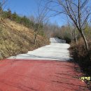 토끼와 거북이길 이미지