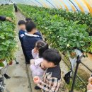 용인대힘찬나래태권도 | 또롱♬ 부산 신호동 태권도 용인대힘찬나래태권도