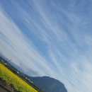 사우스사계 이미지