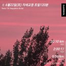 6월22일(토) 자세교정 트레드밀런 20k 이미지